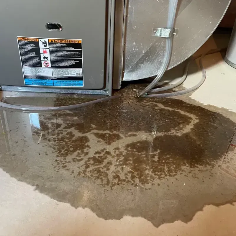 Appliance Leak Cleanup in Junction City, OR